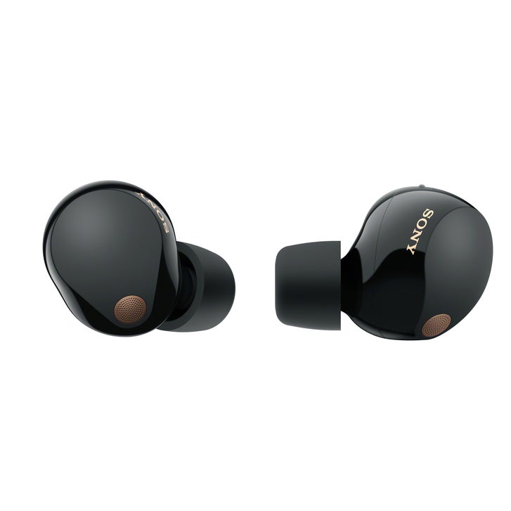 Sony WF-1000XM5 Wireless Noise Cancelling Earbuds | Costco