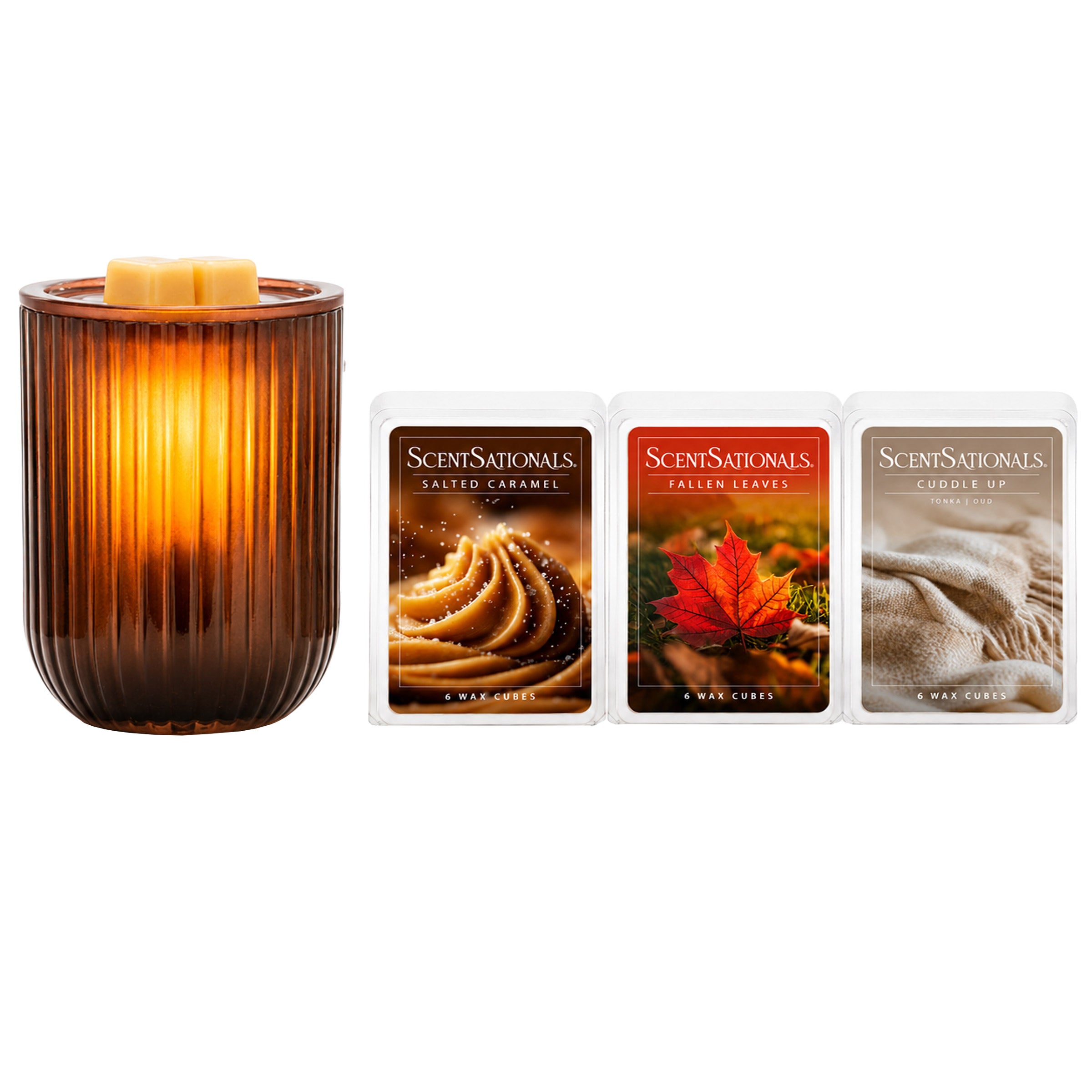 中古　ANSWER 【 WINTER WAX 】2024 ScentSationals Bryn Wax Warmer with scented Wax, 4-piece | Costco