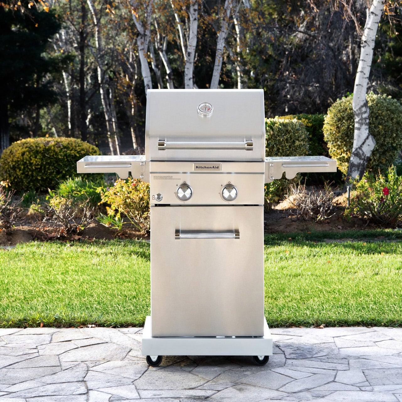 KitchenAid 2-Burner Gas Grill | Costco