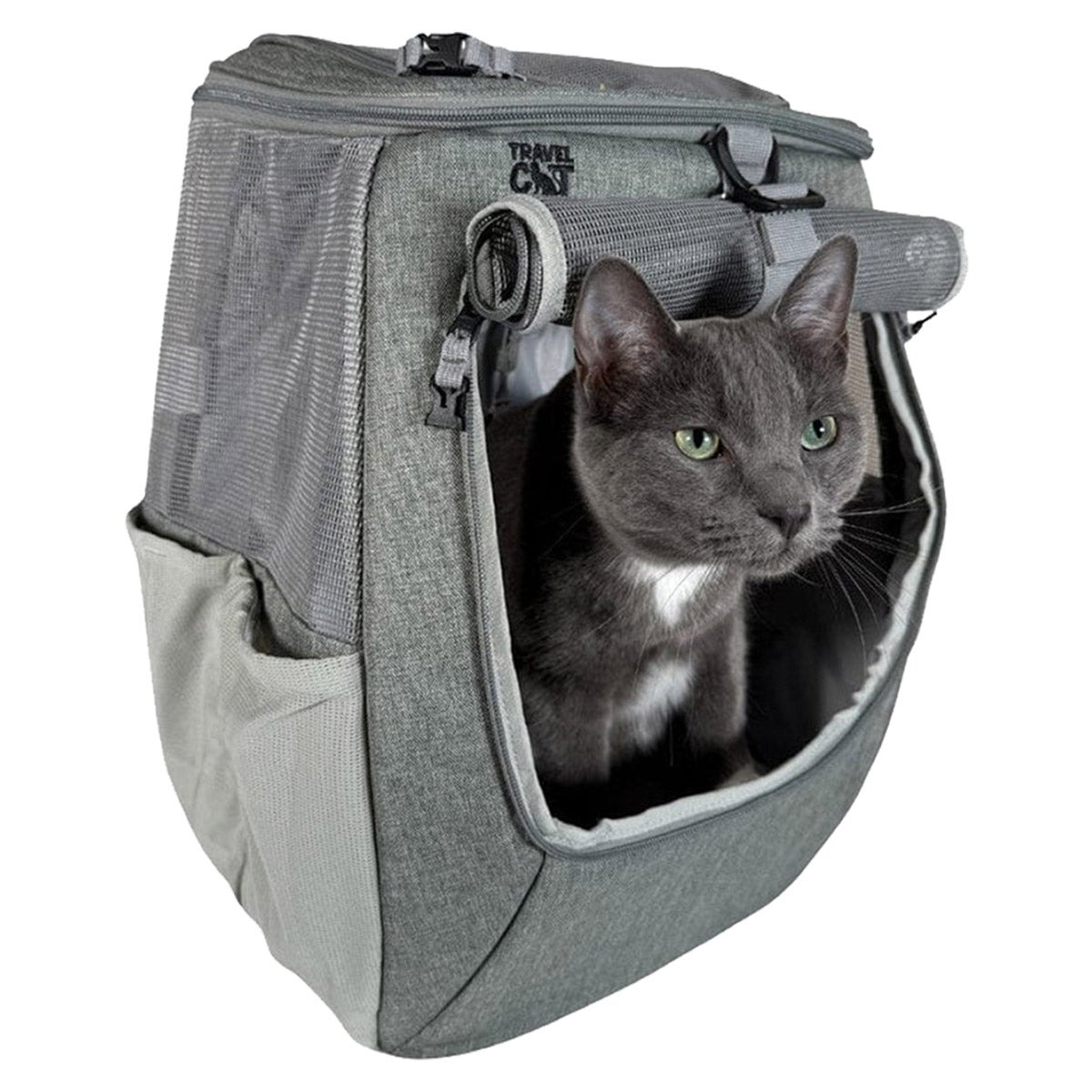 coach cat backpack Carrier, Pet Cat Carrier with Ventilated Design for Carrying Puppy Cats, Pet Carrier Backpack for Traveling/Hiking/Camping/Outdoors Airline Approved Travel Carrier(Grey) : Pet Supplies Removable mat Coach Cat Bag