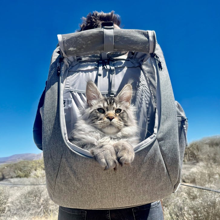 backpack for cat travel JetPaw Expandable In-Cabin Pet Carrier  Airline-Approved Backpack Dogs & Cats offering plenty of room for your cat along a soft and comfortable nap pad and even an option to expand the available space Travel Cat The Navigator Convertible