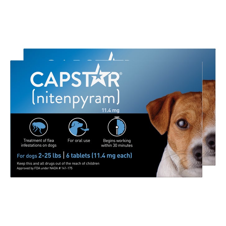 Capstar Oral Flea Tablets for Dogs 2-25 lbs, 6-count Tablets, 2-pack ...