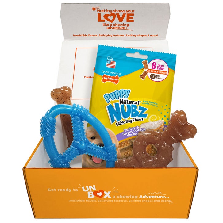 Nylabone Puppy Chew Toys and Small NUBZ Gift Box, 4-count | Costco