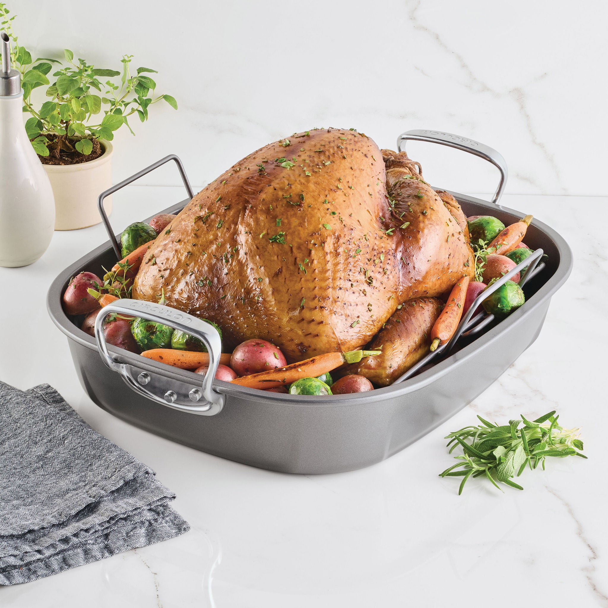 Circulon Nonstick Oval Roaster with Rack | Costco