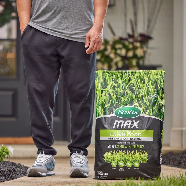 Scotts MAX Southern Lawn Food, 14,000 Sq. Ft. | Costco