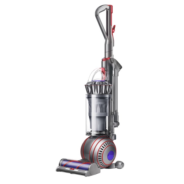 Dyson Ball Animal 3+ Upright Vacuum | Costco
