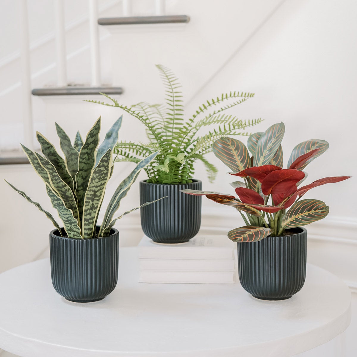 Faux Decorative Plant Trio | Costco