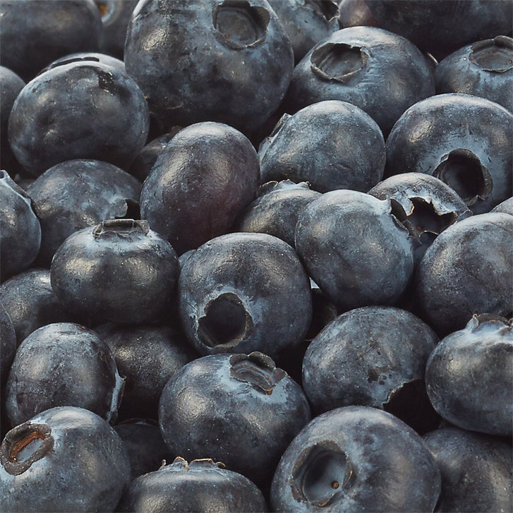 Costco Canada Blue Raspberry Blueberries, 18 oz | Costco