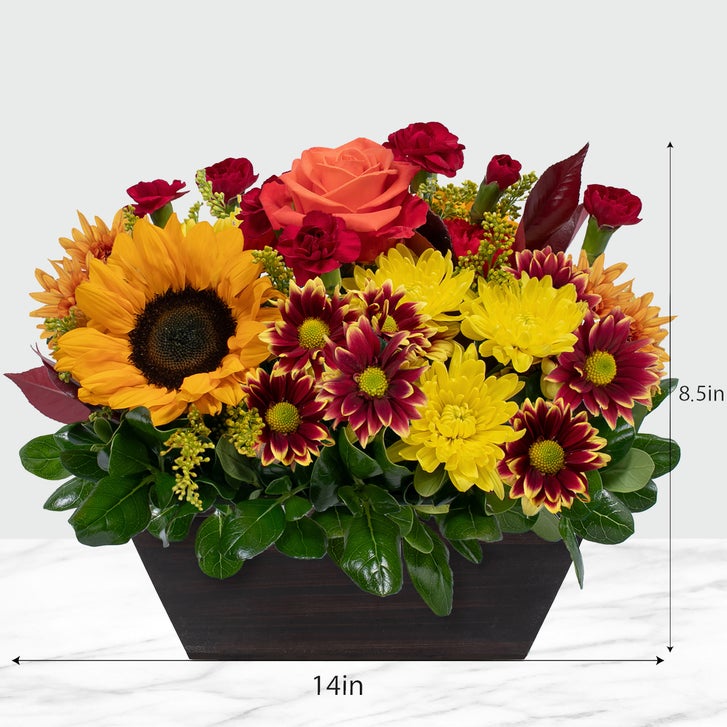 Enlarge Product Preview 6