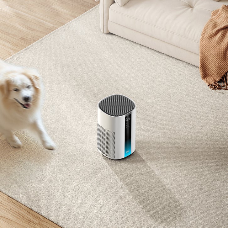 Enlarge Product Preview 10