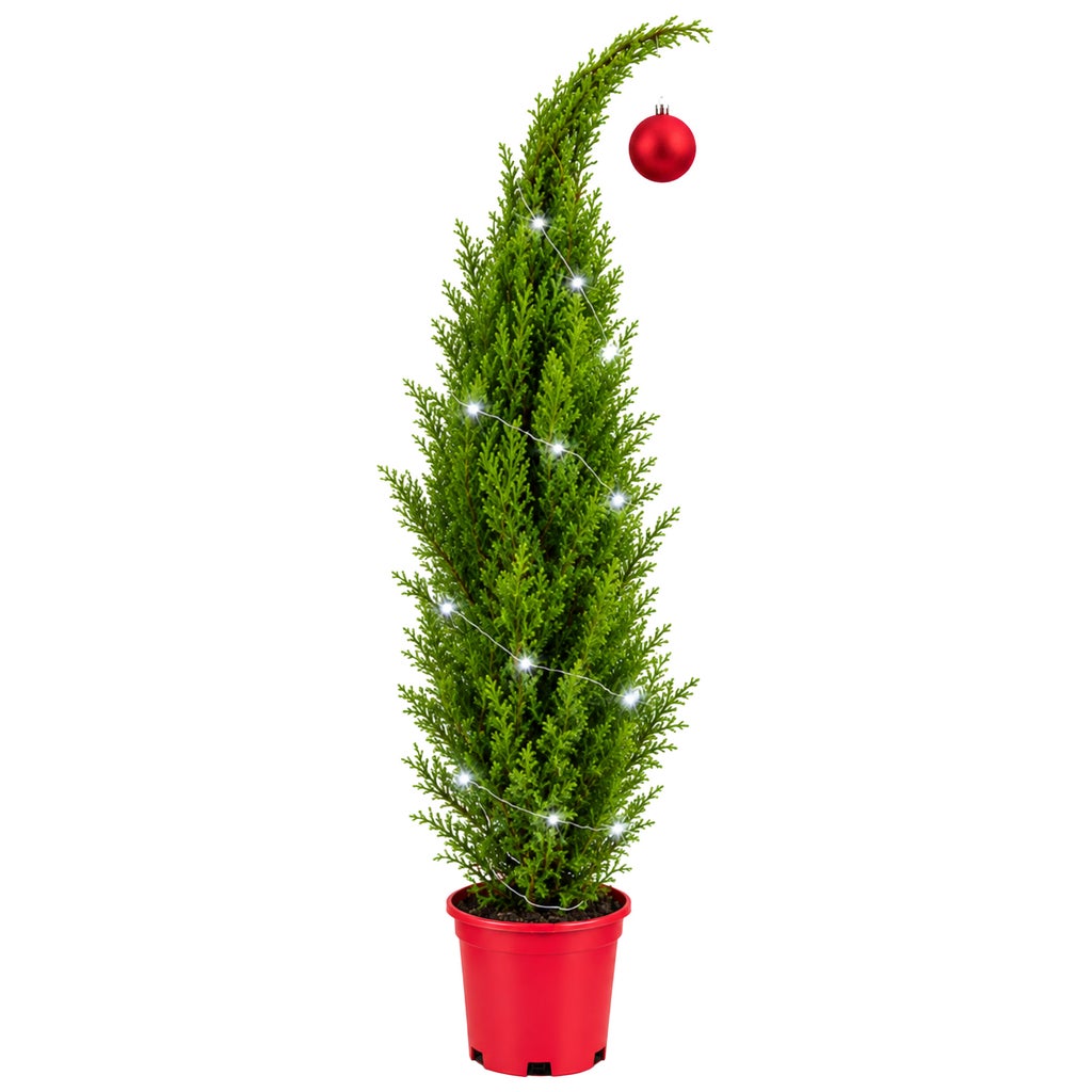 The Whimsical Holiday Tree | Costco