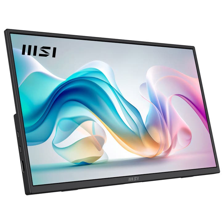 MSI 15.6” FHD IPS 60Hz Portable Monitor | Costco