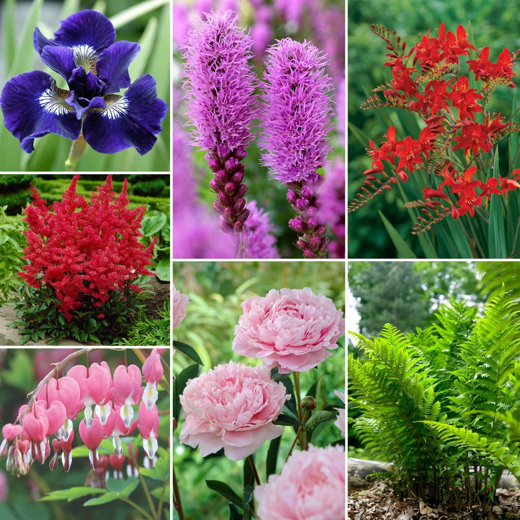 Longfield Garden Solution Collections | Costco