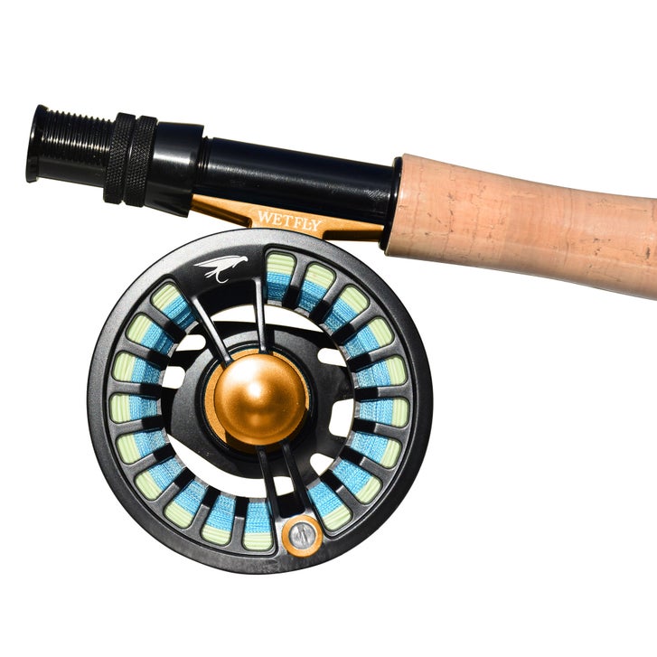 bear fishing reel 1000 Size Metal Line Cup and Spool 10 Sealed Ball 5.4:1 Gear Ration Freshwater Spinning with Two Handle and Line Cup cast reels on the Size:1/16oz (2 inches) Aquarium Filters FISH FINDER 15 –
