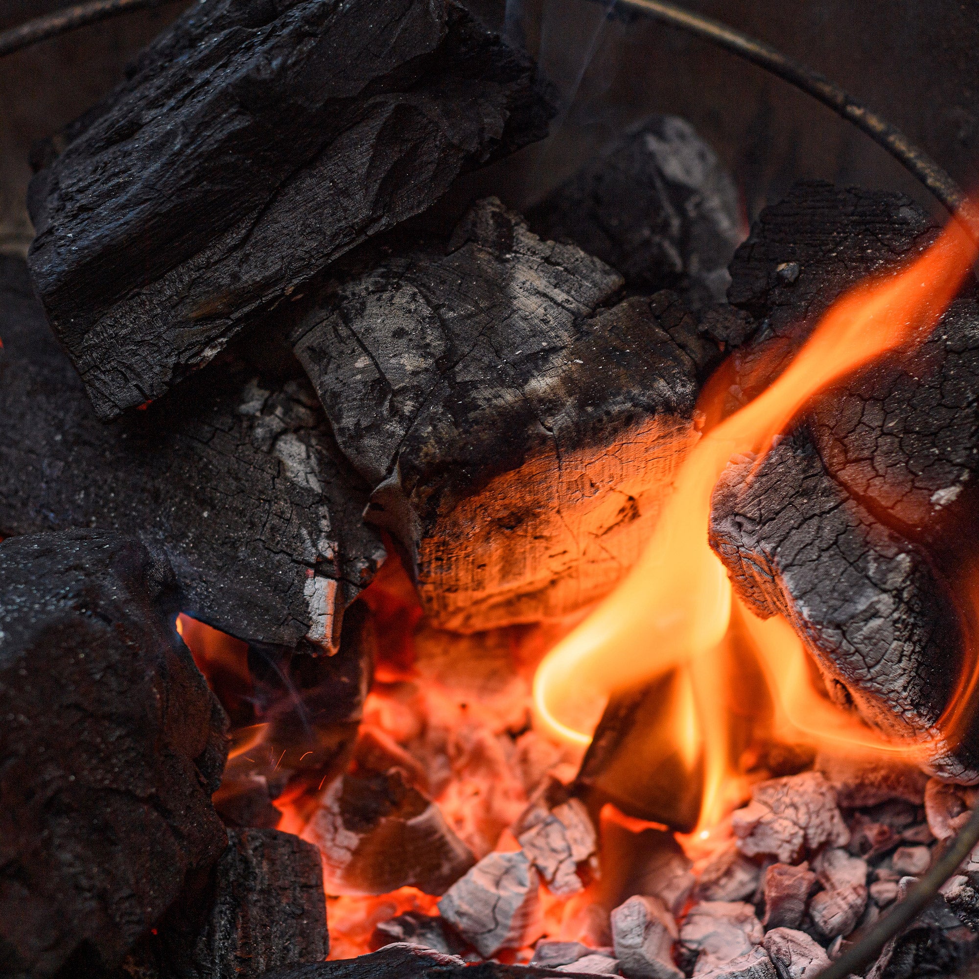 Kamado Joe Big Block XL Lump Charcoal & Firestarter Bundle, 40 lbs
