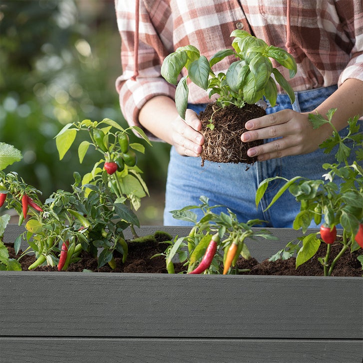 Keter Darwin 29 Gallon Raised Garden Bed and Self Watering Planter