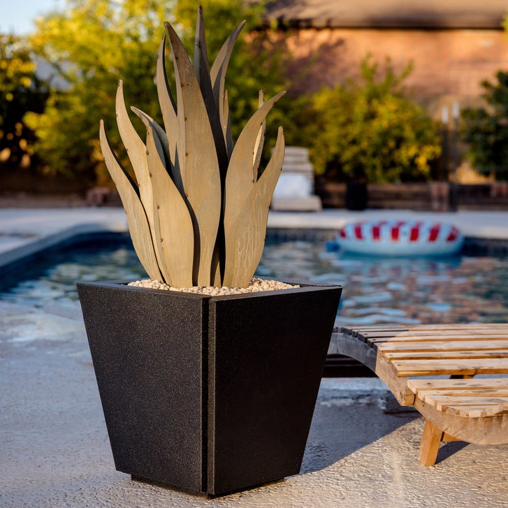 Snake Agave with Planter by Desert Steel | Costco