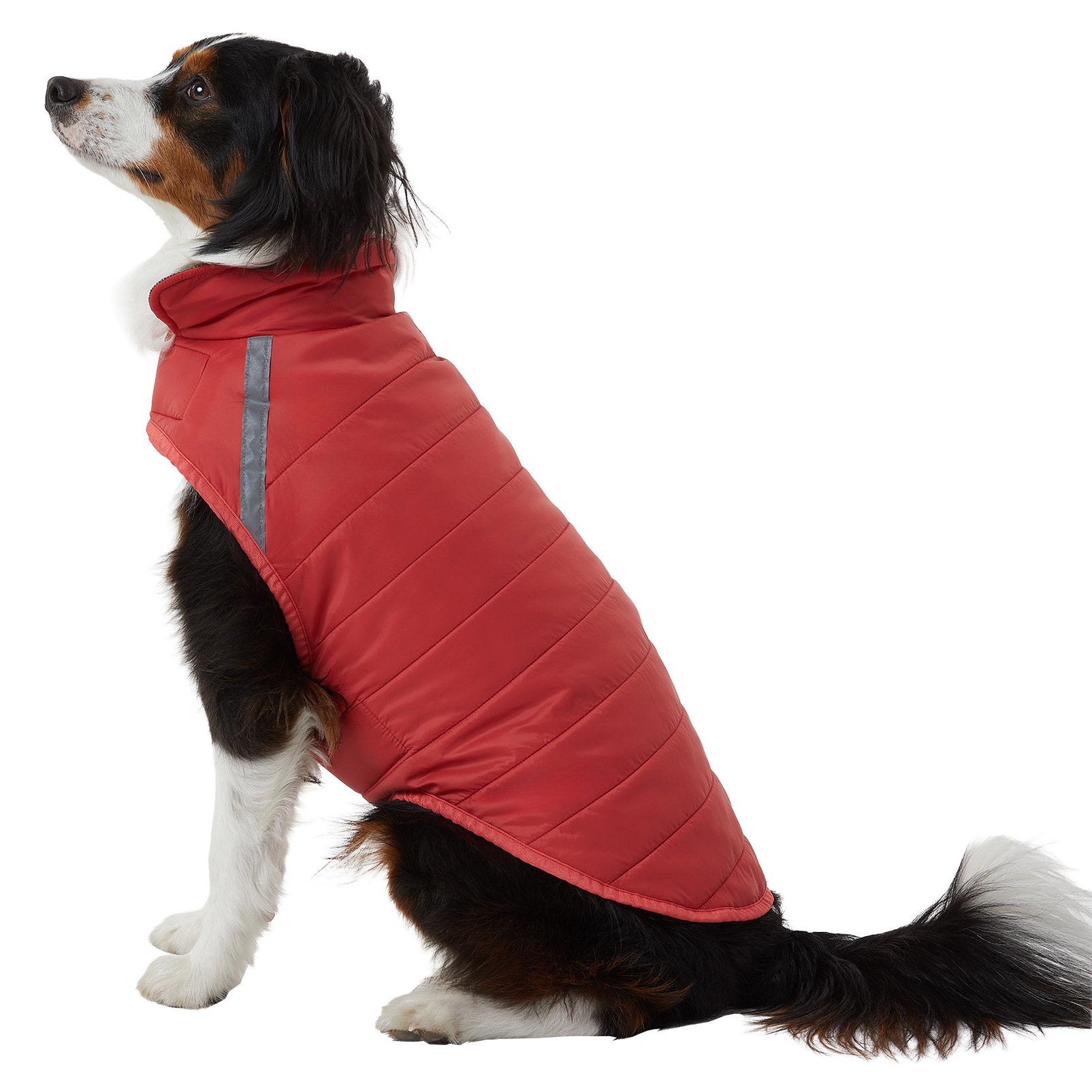 32 Degrees Dog Vest