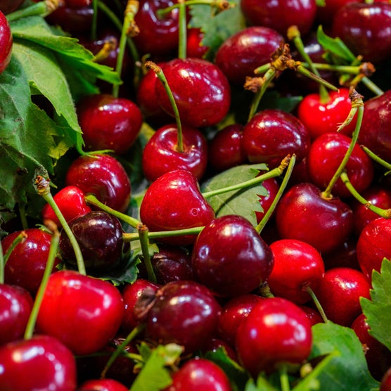Alder & Oak EZ- Pick Cherry Tree | Costco