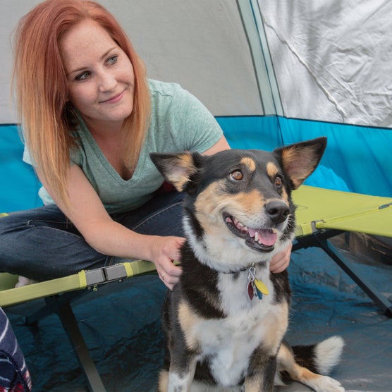 Coleman Trailhead Easy Step Cot, 2-pack | Costco