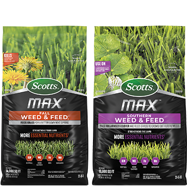 Scotts MAX Weed & Feed