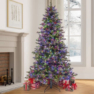 Holiday & Seasonal