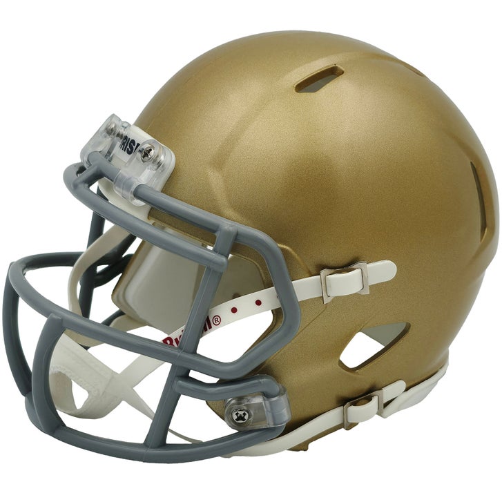 Rudy Ruettiger Autographed Notre Dame Fighting Irish Gold Speed