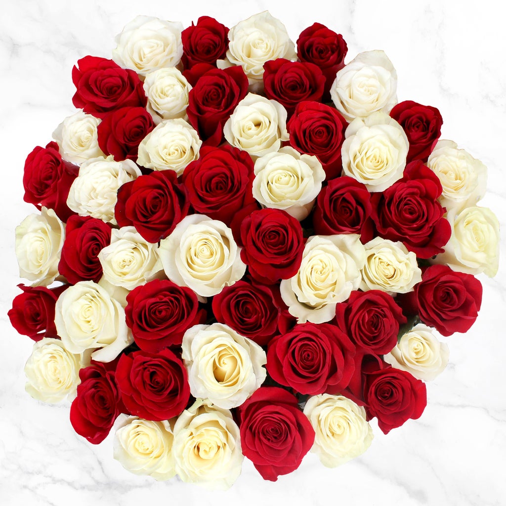 Cosco Red Roses 50-stem Red & White Roses | Costco