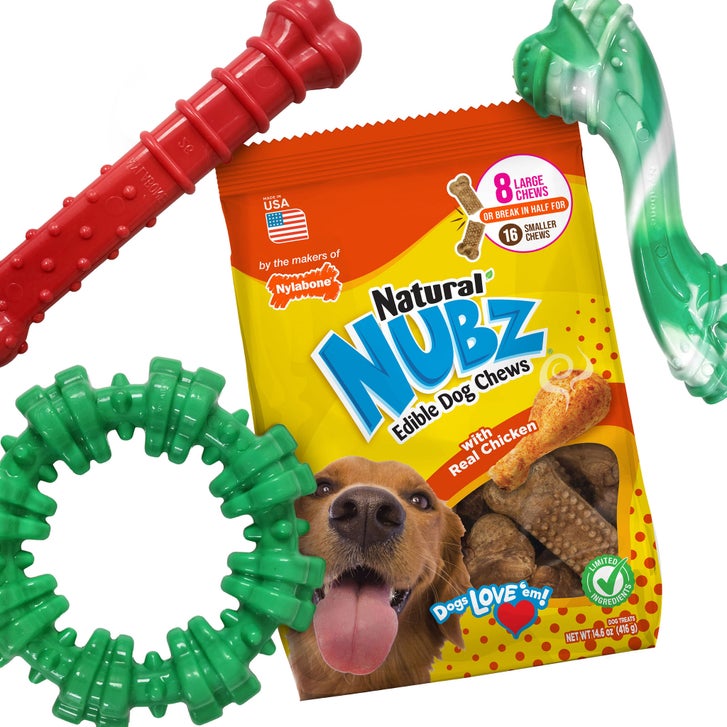 Nylabone Chew Toys & NUBZ Chew Treats Gift Box, 4-count | Costco