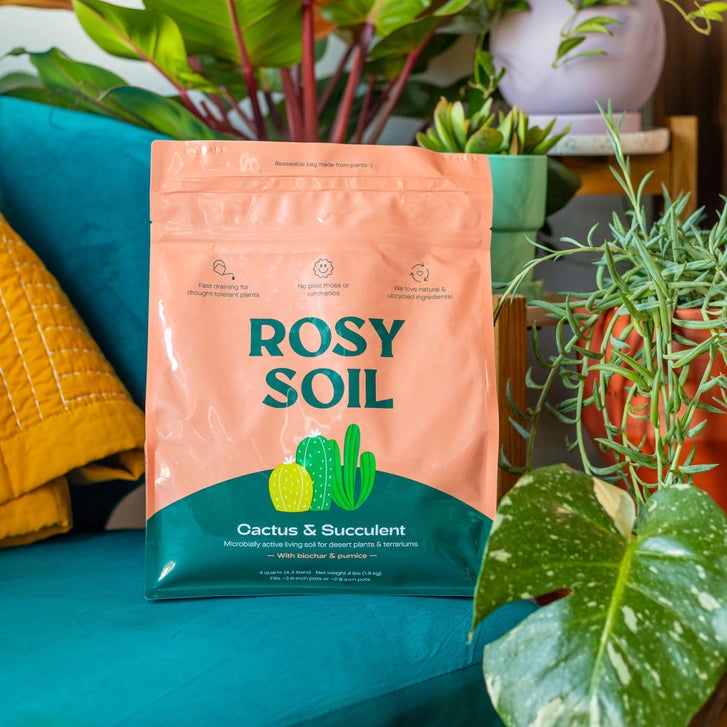 Cactus & Succulent Soil – 4 Quart 3-pack | Costco