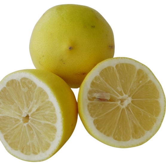 New Zealand Lemonade Tree Semi-dwarf | Costco