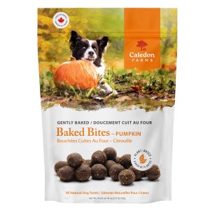 Caledon Farms Pumpkin Baked Bites for Dogs 1.25 kg