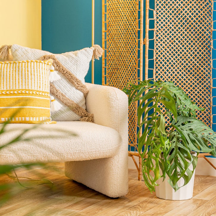 Costa Farms Monstera Esqueleto Houseplant in Decor Planter | Costco