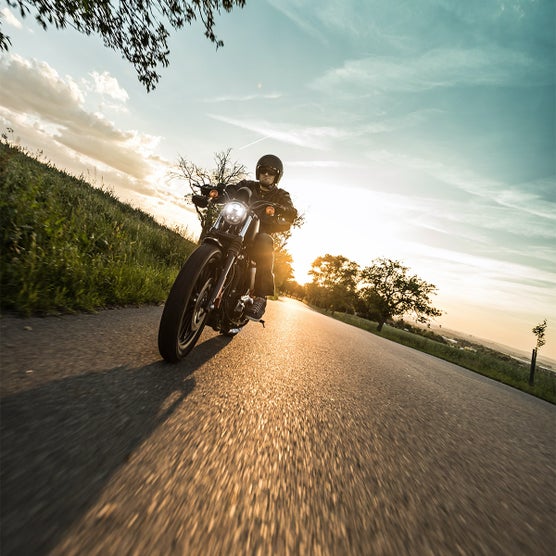 Interstate Batteries Powersport AGM Battery FAYIX30L | Costco