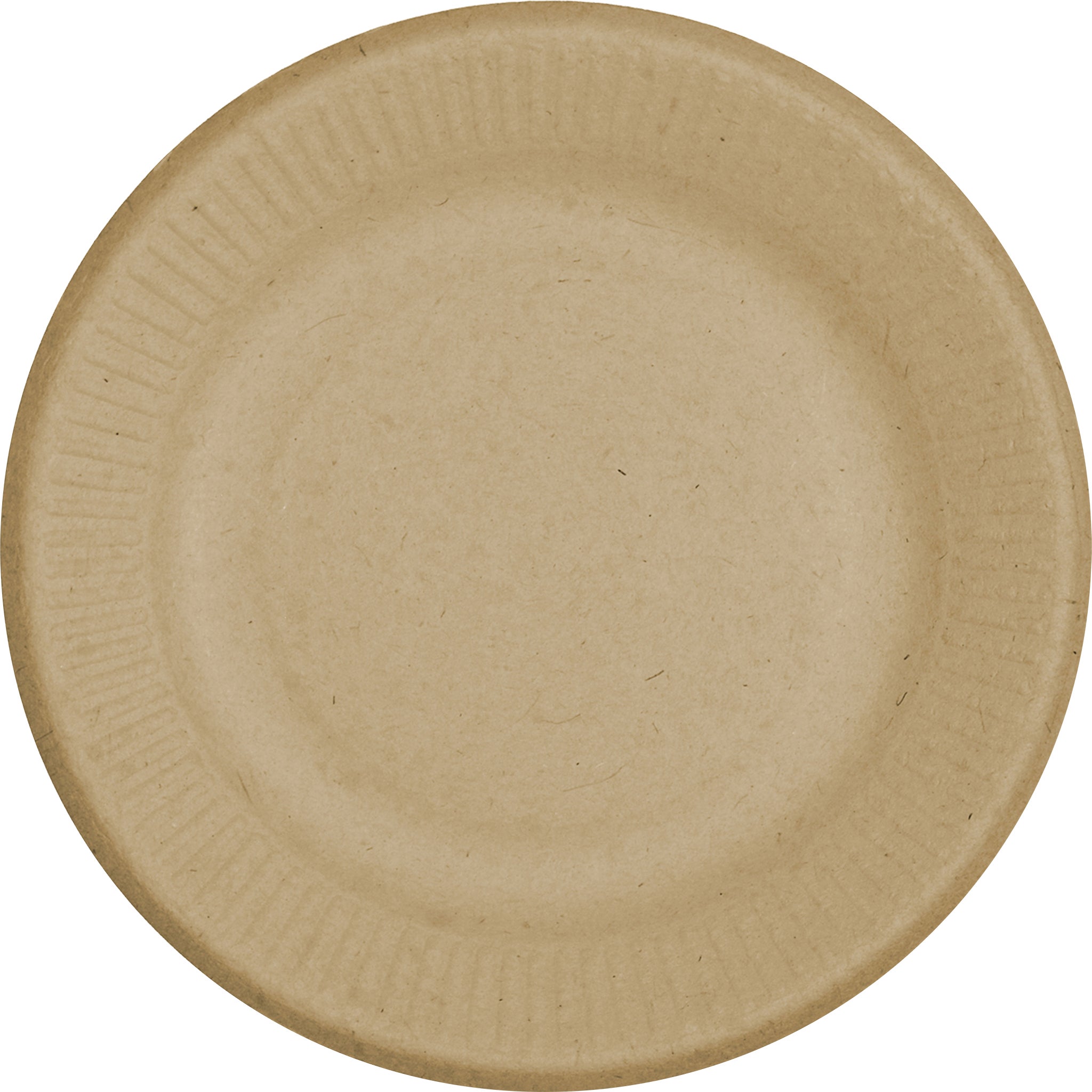 WORLD CENTRIC COMPOSTABLE 6" PLATE 250CT PACK