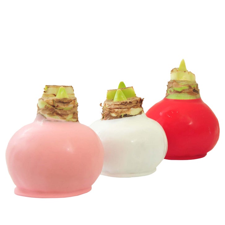 Enlarge Product Preview 3