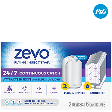 Zevo Flying Insect Trap Starter Kit