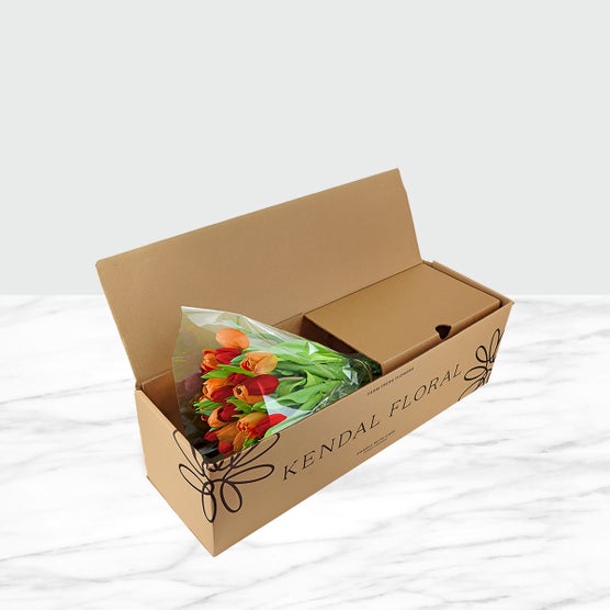 Enlarge Product Preview 4