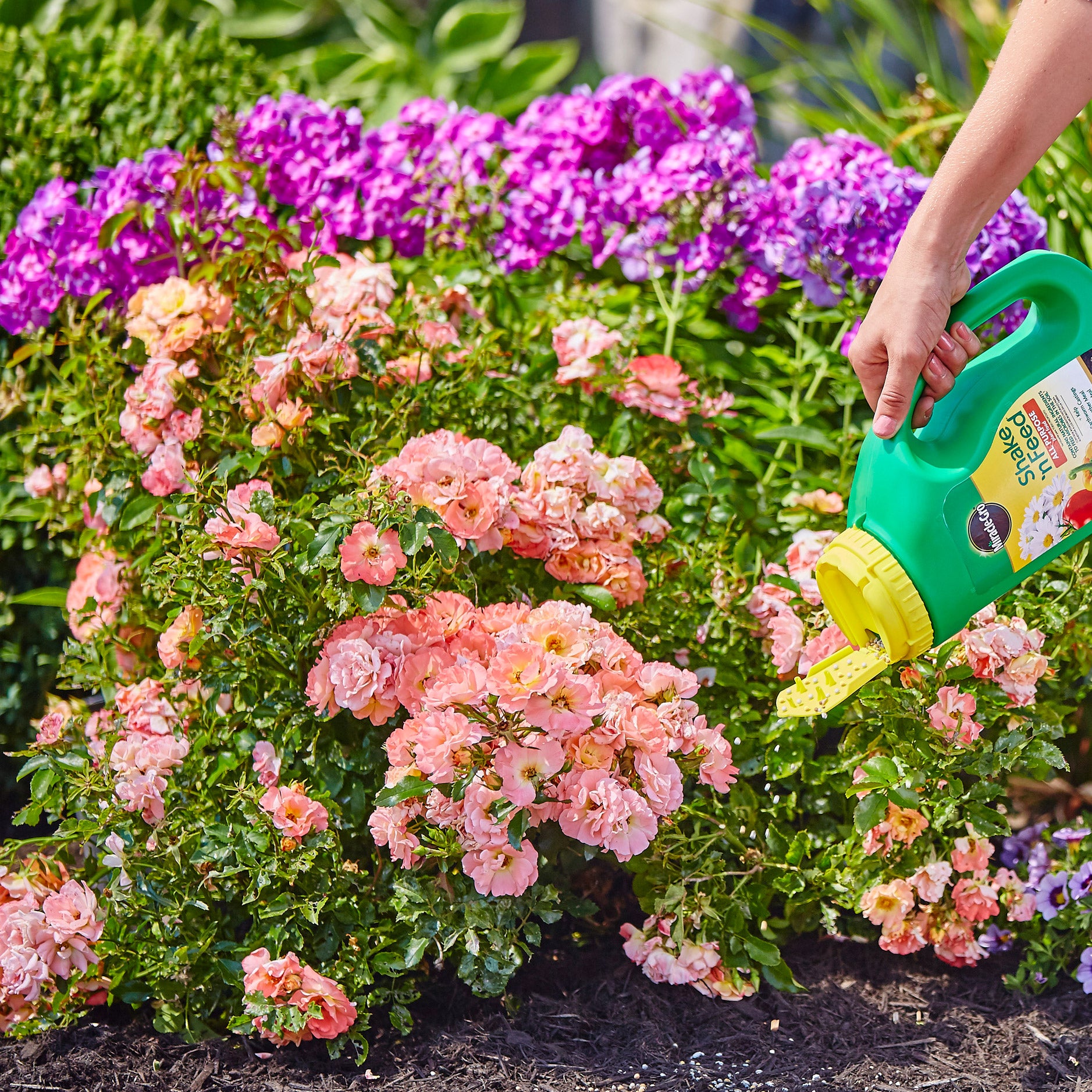 Miracle-Gro Shake 'n Feed All Purpose Plant Food 8 lb | Costco