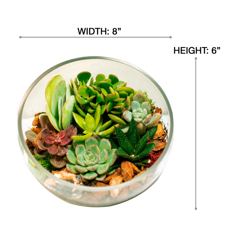 Enlarge Product Preview 3