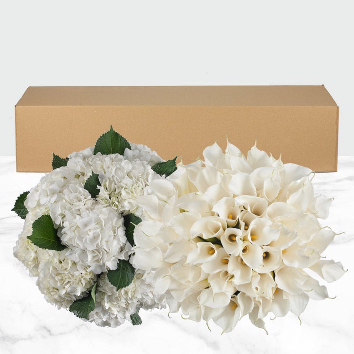 Enlarge Product Preview 3