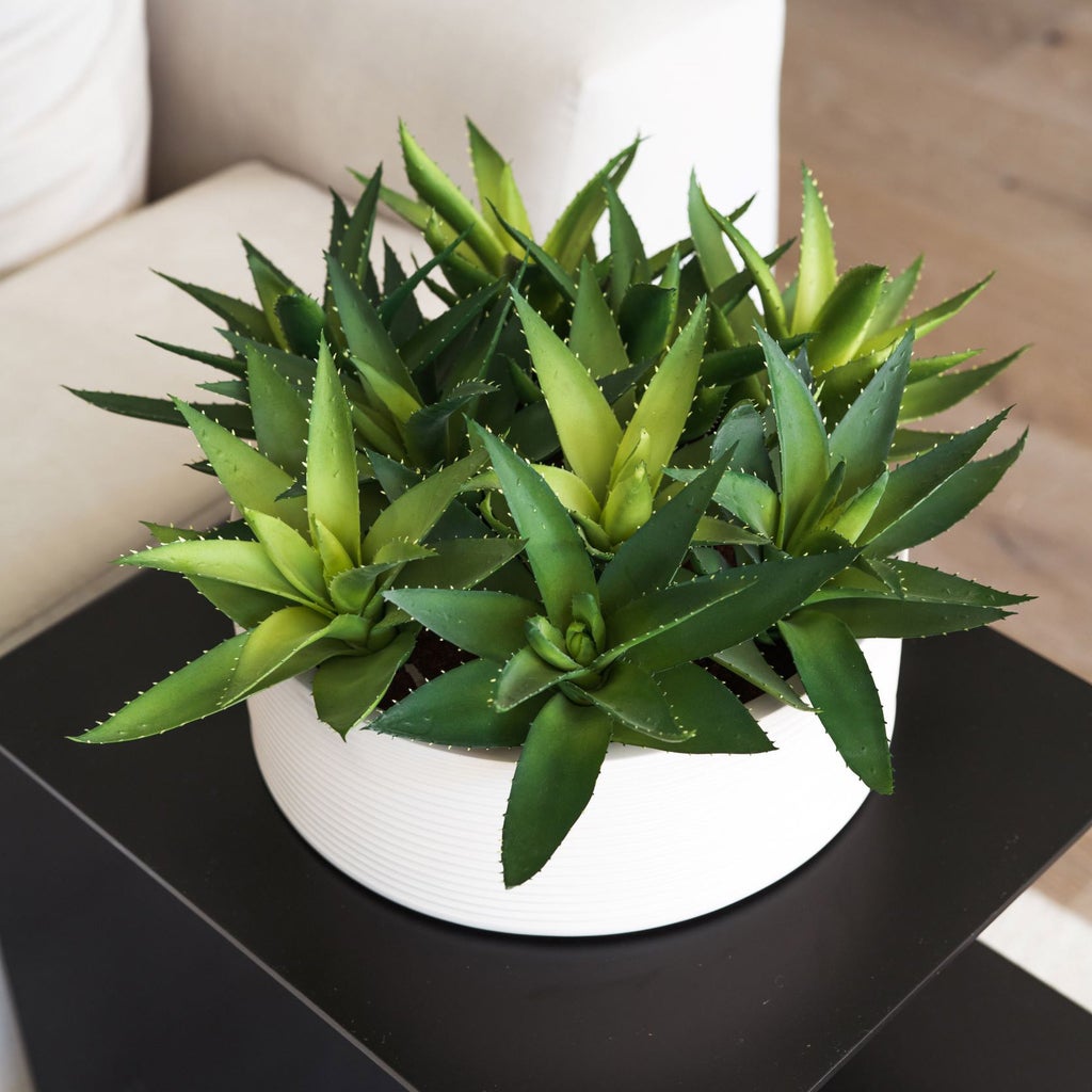 Enlarge Product Preview 1