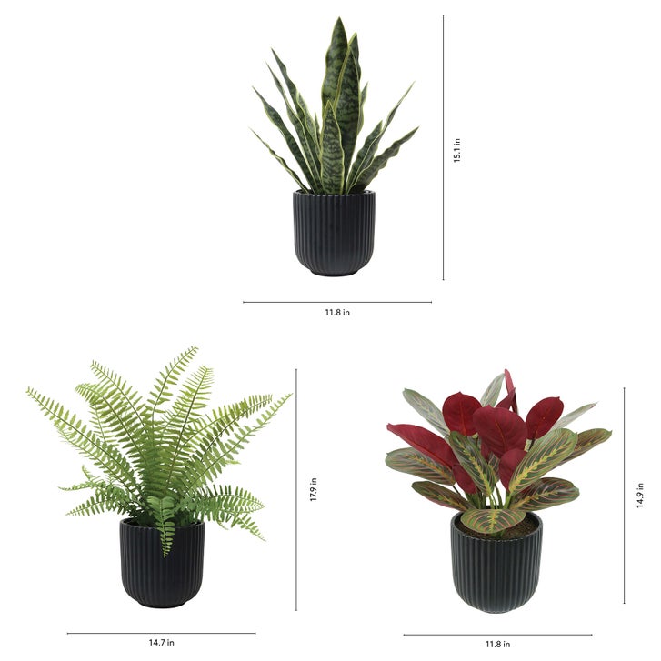 Faux Decorative Plant Trio | Costco