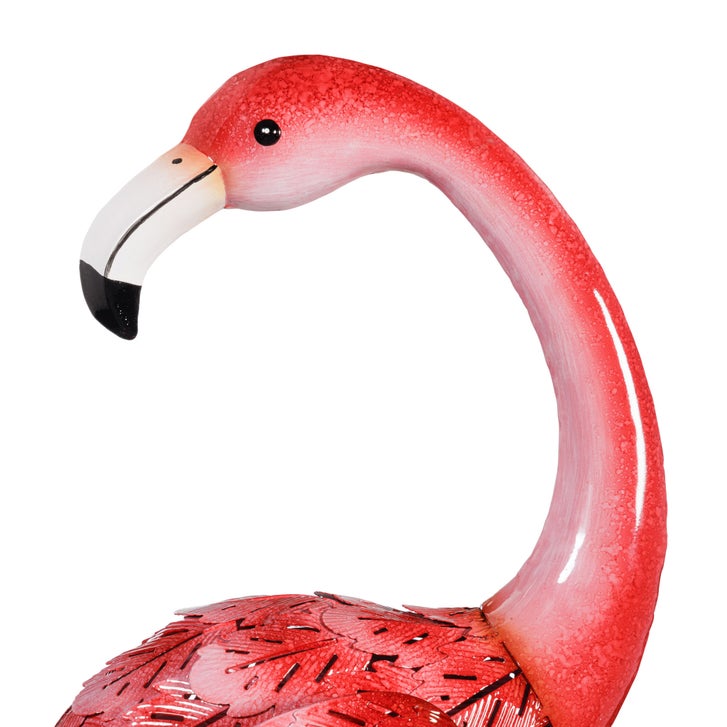Flamingo\