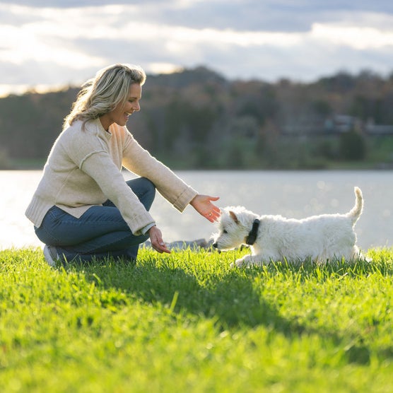 Enlarge Product Preview 5
