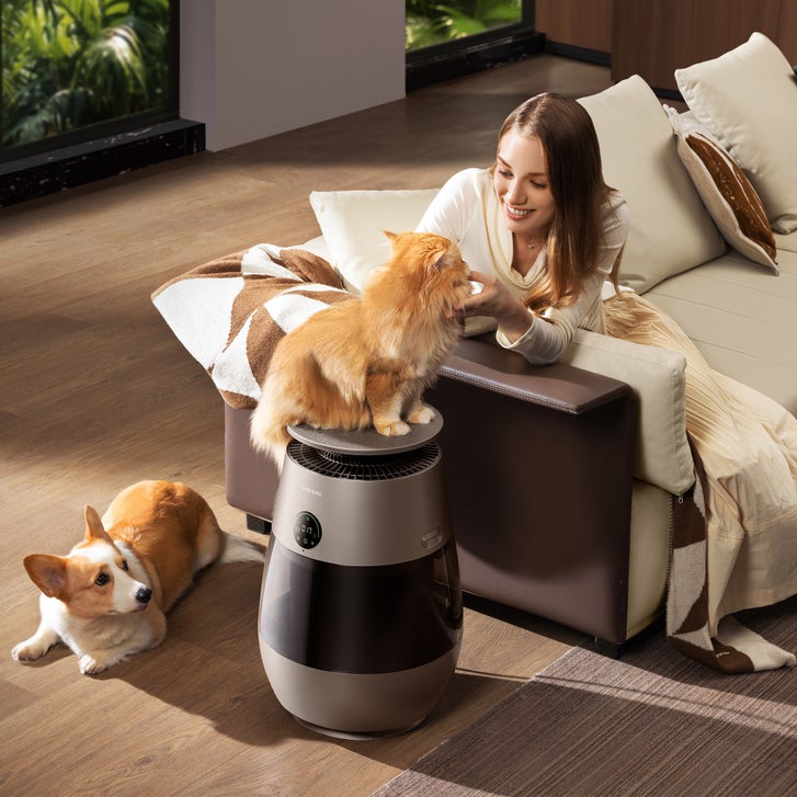 パーフェクトアクアリボーテ Dreame AP10 Pet Air Purifier | Costco