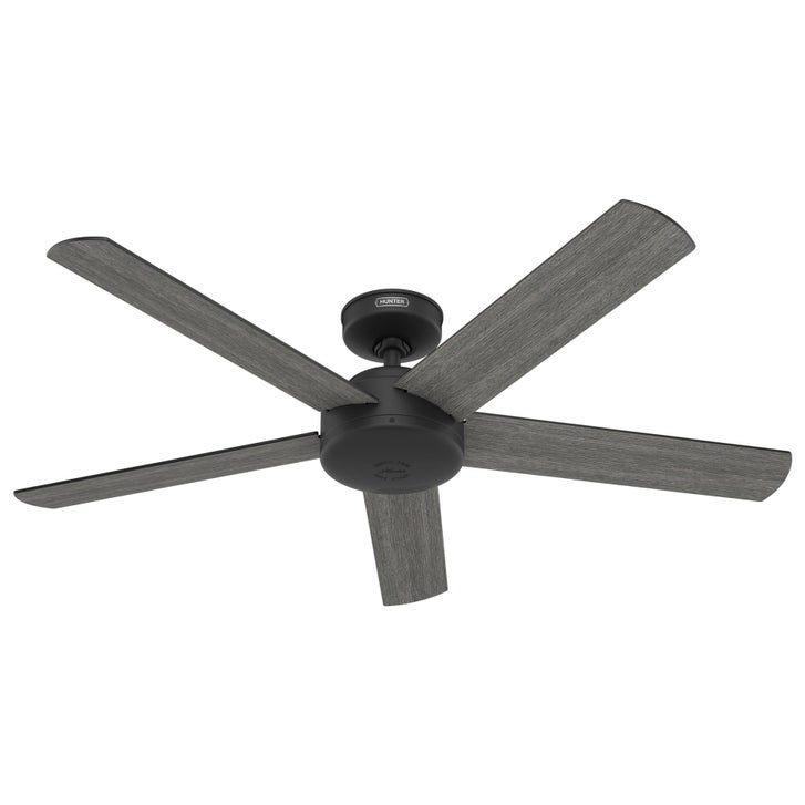 Hunter Anvik 52” Indoor/Outdoor Ceiling Fan with Remote | Costco