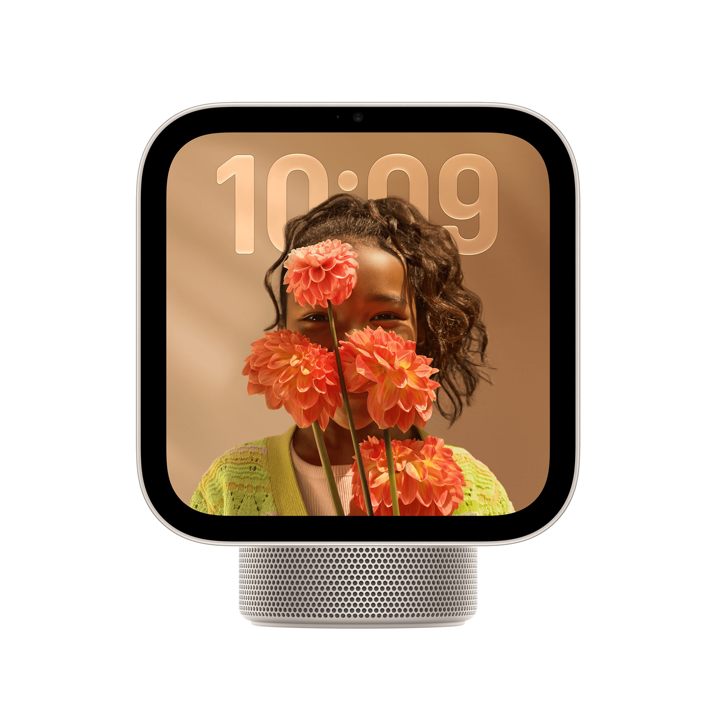Apple HomeView | Costco
