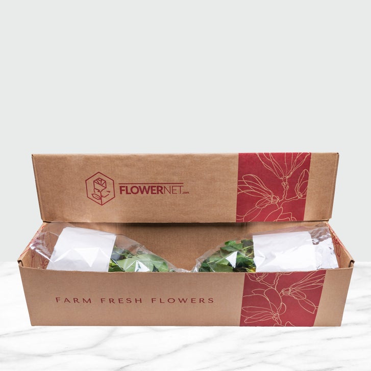 Costco Tea Roses 50-stem Red and White Roses | Costco