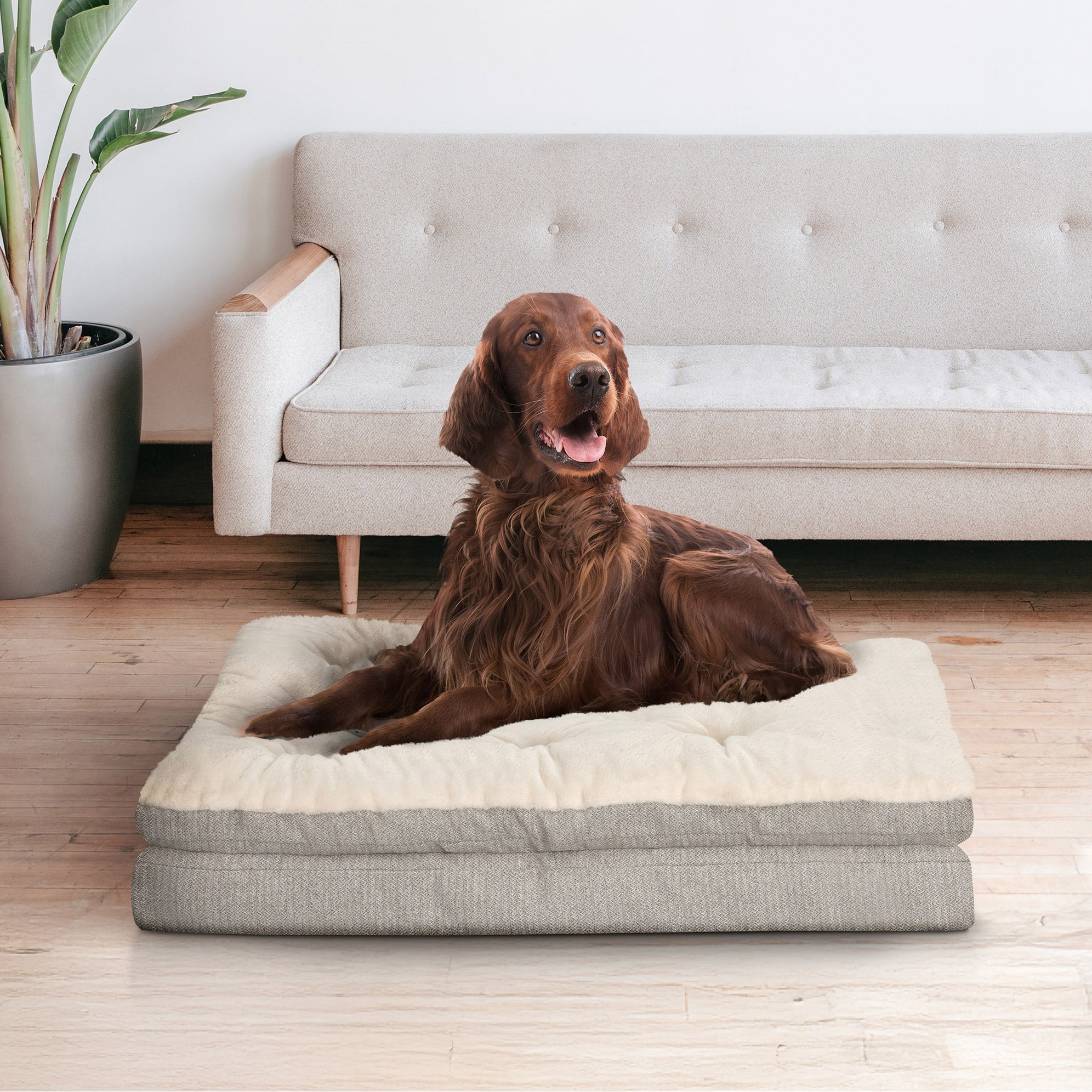 KIRKLAND SIGNATURE PILLOW TOP PET BED